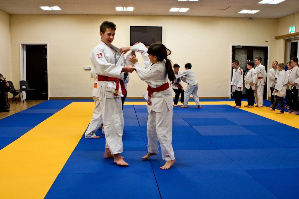 Happidojo training environment